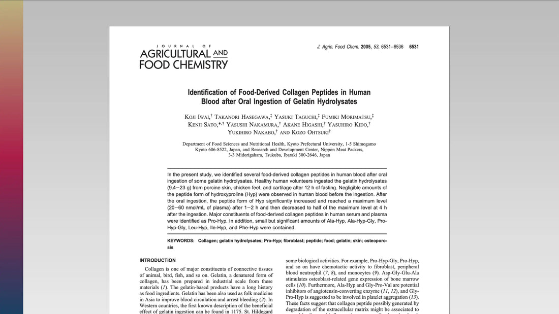 Do Collagen Peptides Make It Past Digestion? What Human Research Shows